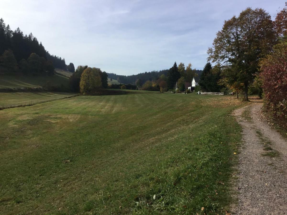 Gemuetliche 1Z Fewo In Schoenwald Mit Balkon, Schwimmbad, Sauna, Fitness Exteriör bild