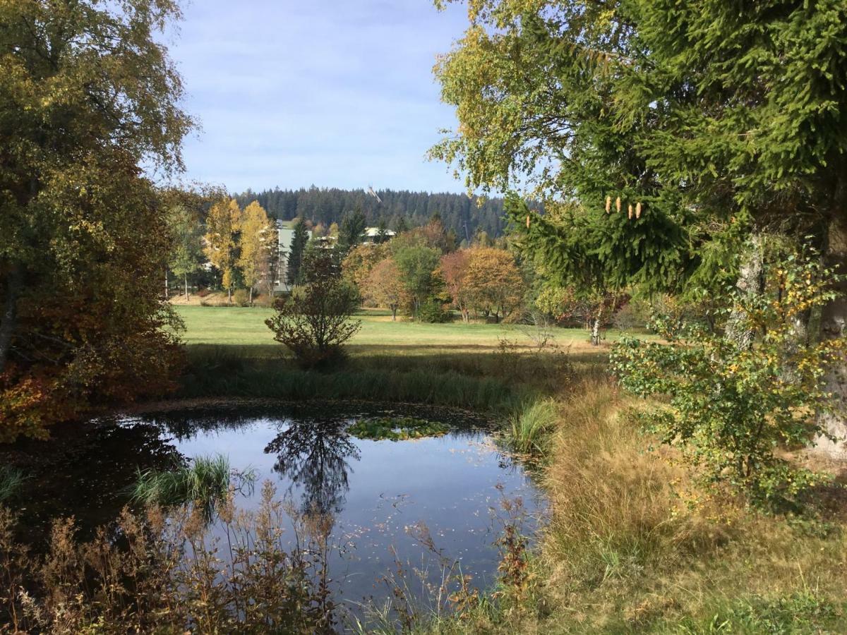 Gemuetliche 1Z Fewo In Schoenwald Mit Balkon, Schwimmbad, Sauna, Fitness Exteriör bild